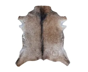 Exotic Goatskin
