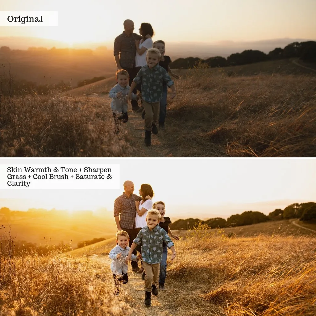 Luxe Local Adjustment Brush Collection for Lightroom Classic (Desktop ONLY)