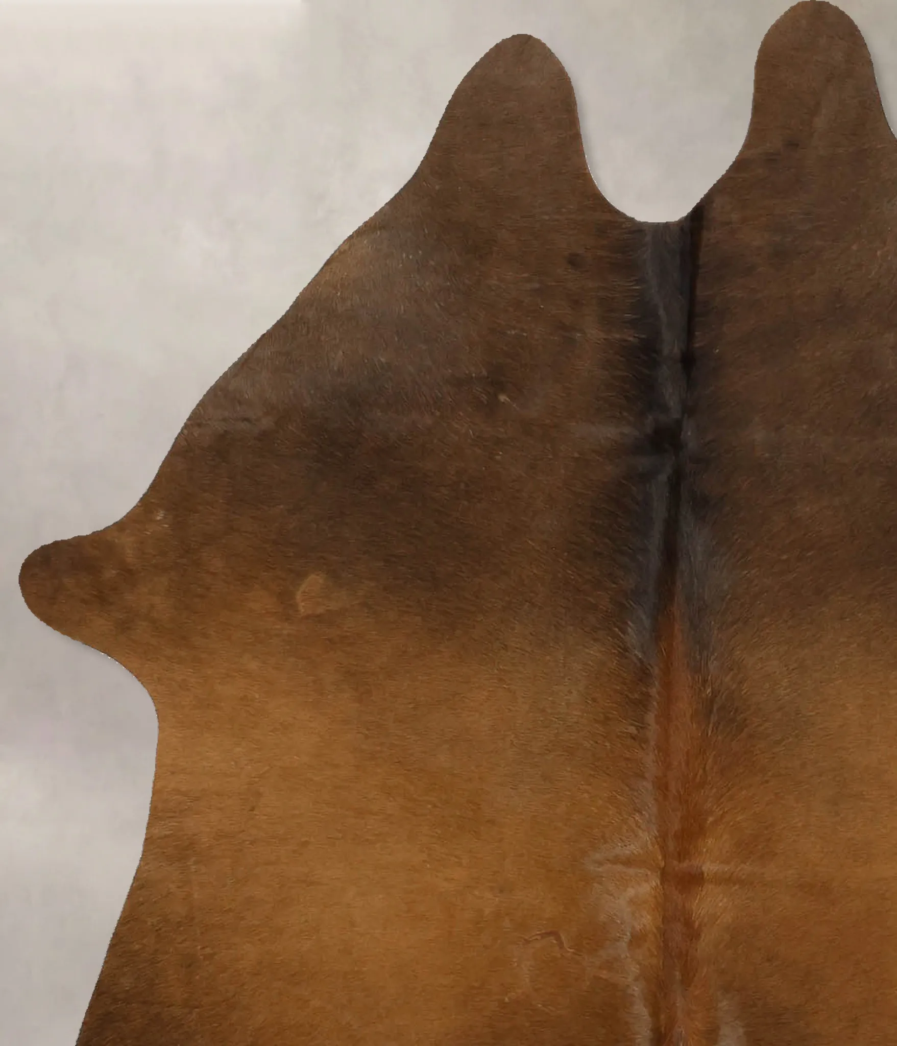 Warm Caramel Medium Brazilian Cowhide Rug 5'2"H x 4'2"W #B11054 by Hudson Hides